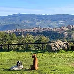 Affaccio Su *