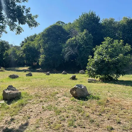 Agroturismo Affaccio Su *