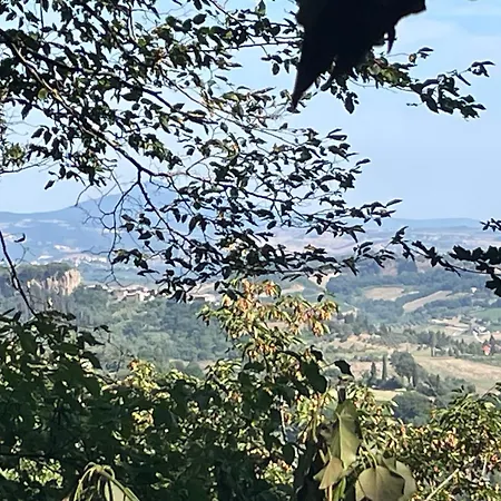 Affaccio Su *