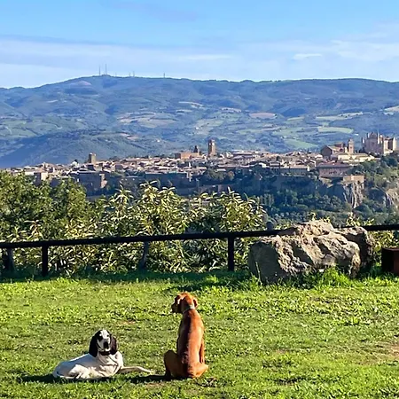 Affaccio Su *