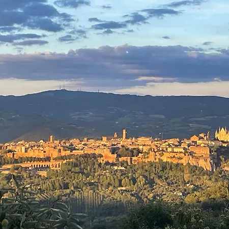 Agroturismo Affaccio Su Orvieto