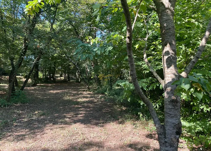 Affaccio Su 奥维多